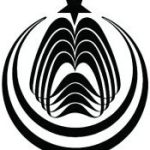 6. NCA